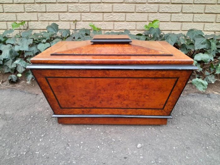 An Antique Victorian  Birds Eye Maple and Ebonised Cellarette with Metal Inner for Ice and Original Hardwood Castors