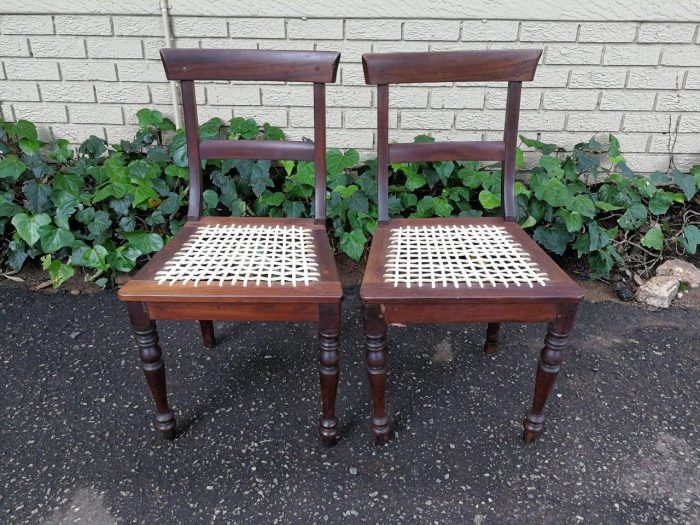 A Pair Of Cape Regency Stinkwood Chairs