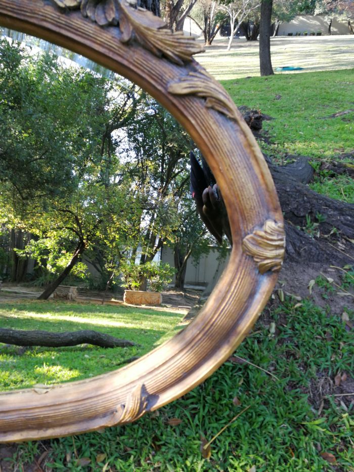 Ornately Carved Oval Gilded Mirror - Image 6