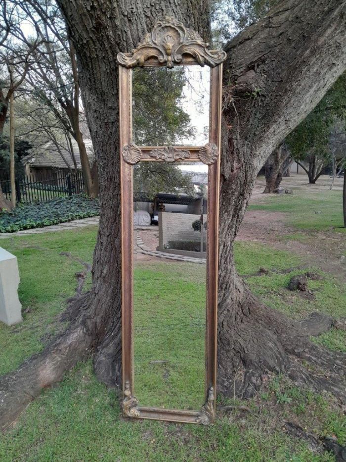 An Ornate Carved Rococo French Style Bevelled Mirror