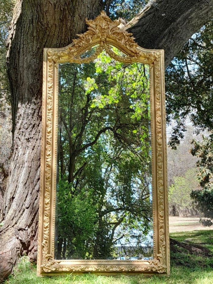 A French Rococo Style Ornately Carved and Gilded Bevelled Mirror