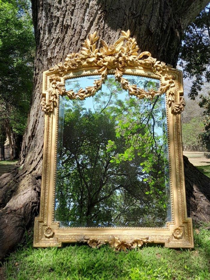 A French Rococo Style Ornately Carved and Gilded Bevelled Mirror