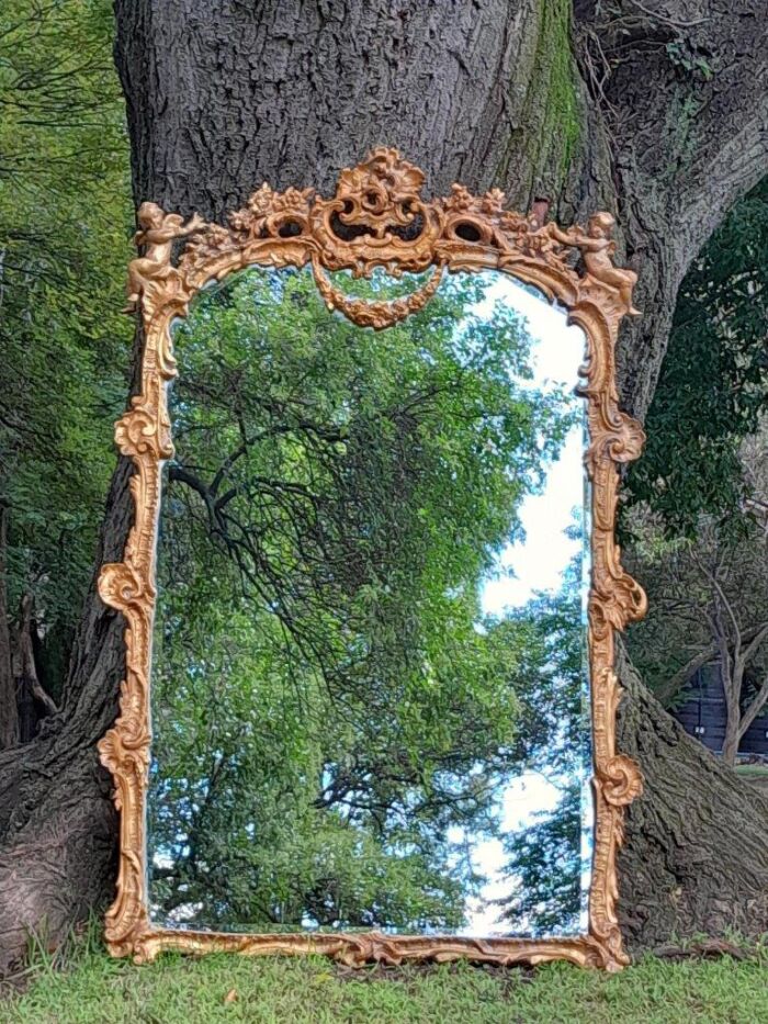 A French Rococo Style Ornately Carved and Gilded Bevelled Mirror