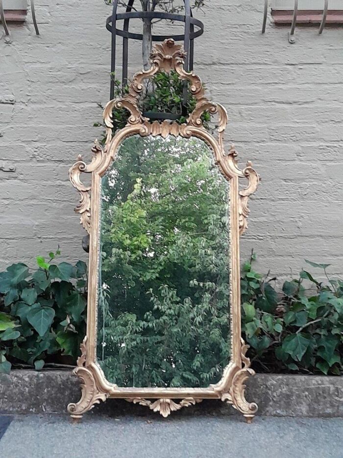 A 19th Century Rococo Style Ornately Carved Gilt Wood Mirror