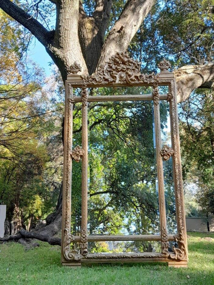 A French Rococo Style Large Ornately Carved & Gilded Bevelled Mirror