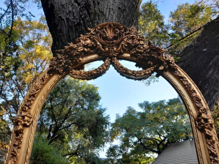 A French Rococo Style Ornately Carved & Gilded Bevelled Mirror - Image 10