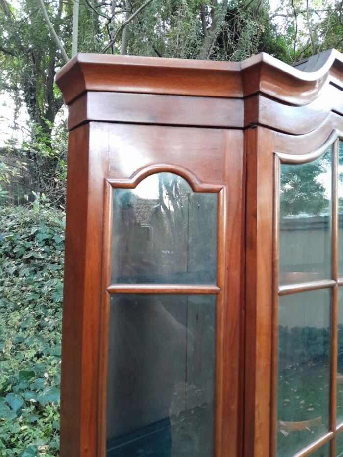 A 19th Century Dutch Walnut  Display Cabinet  - Image 6