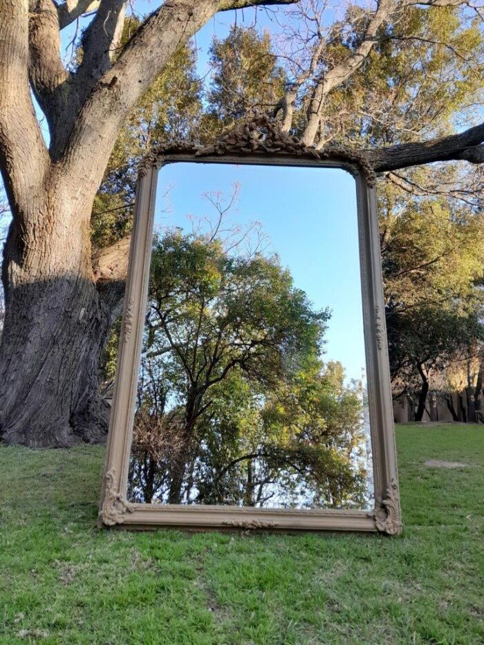 A French Style Ornately Carved Mirror in a Contemporary Finish - Image 2