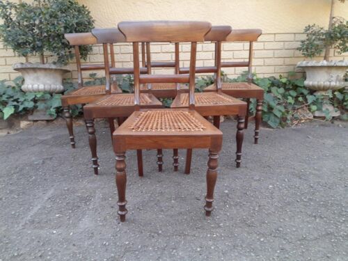 An Antique Set Of Six Cape Stinkwood Regency Chairs With Rattan Seats