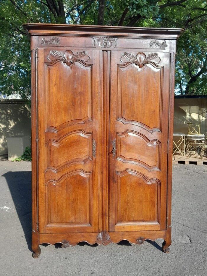 A 19th Century French Carved Oak Armoire