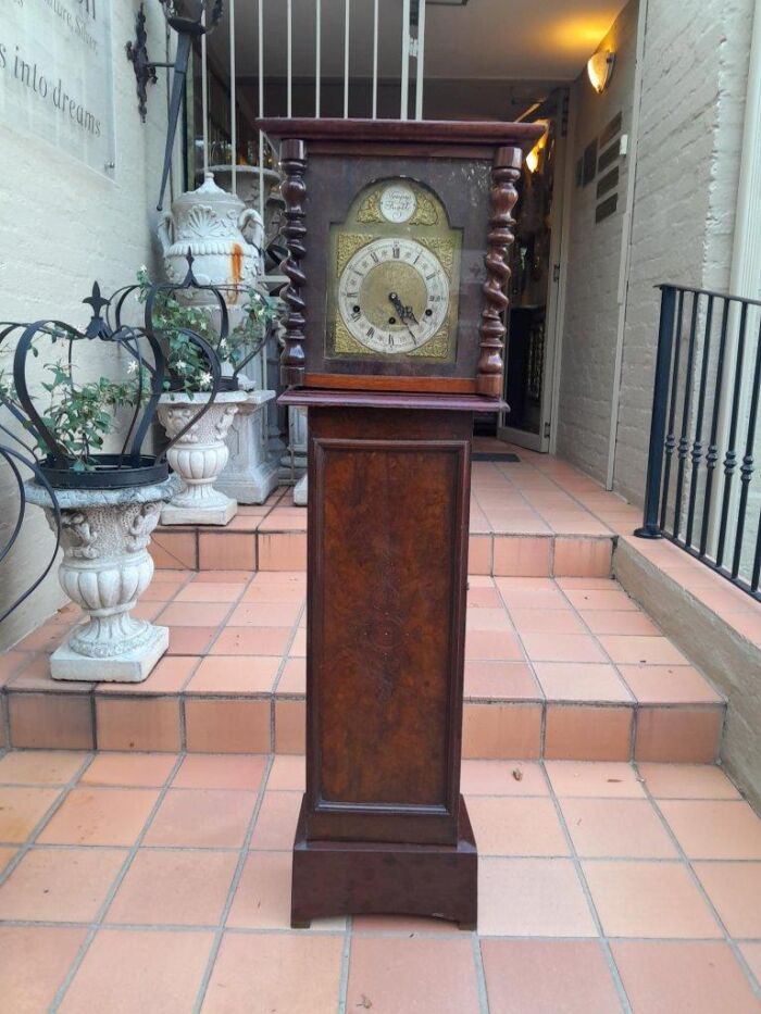 A 19th Century Burr-Walnut Tempus Fugit Clock with Pendulum and Key 