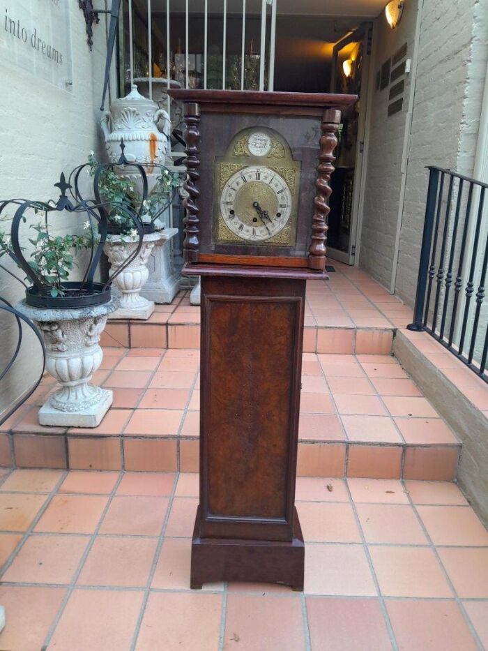 A 19th Century Burr-Walnut Tempus Fugit Clock with Pendulum and Key  - Image 2