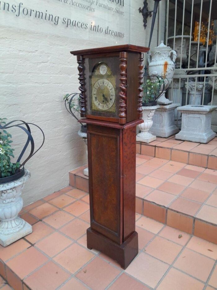 A 19th Century Burr-Walnut Tempus Fugit Clock with Pendulum and Key  - Image 3