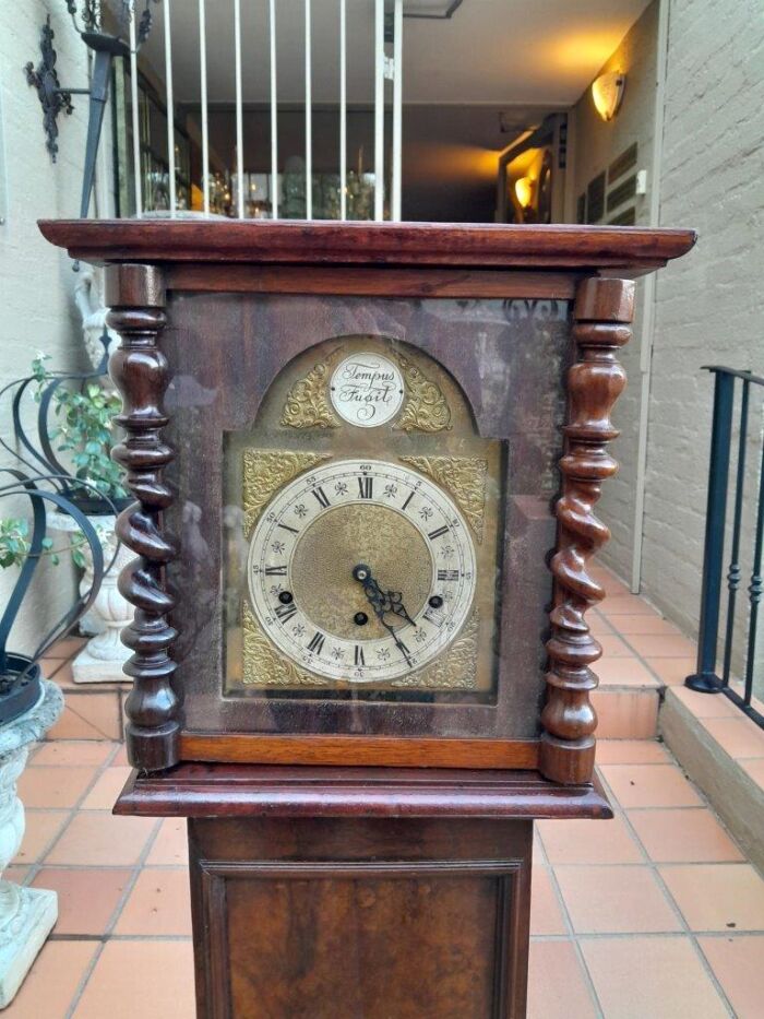 A 19th Century Burr-Walnut Tempus Fugit Clock with Pendulum and Key  - Image 4