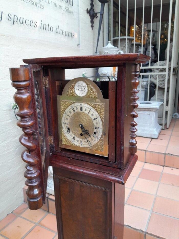 A 19th Century Burr-Walnut Tempus Fugit Clock with Pendulum and Key  - Image 5