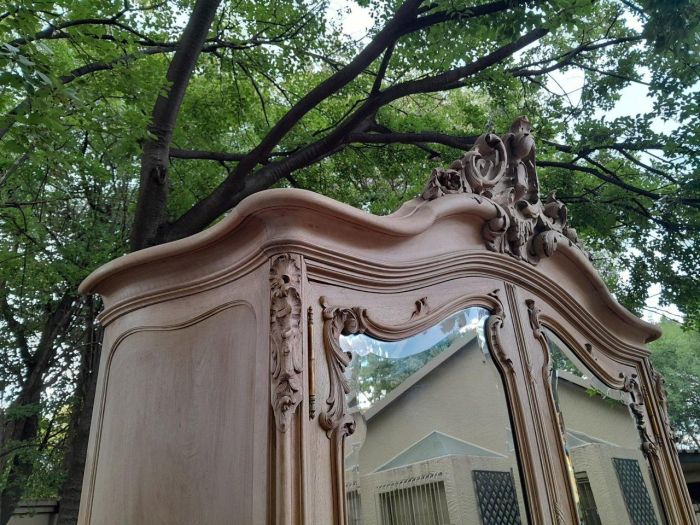 An Antique French Heavily Carved Oakd Two Door Armoire with Bevelled Mirrors and Four Shelves - Image 8