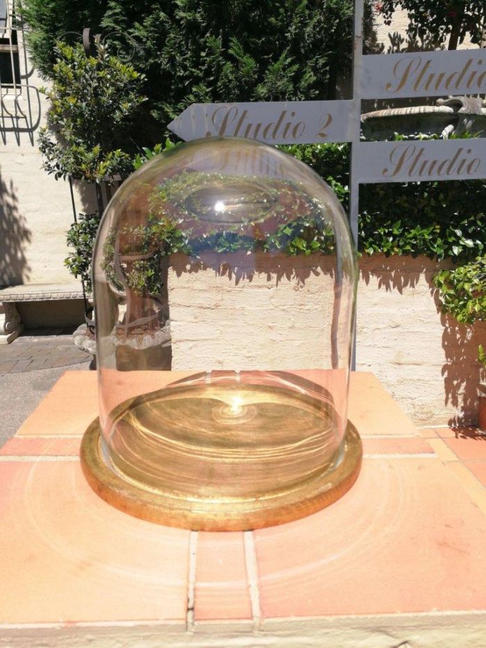 Glass Dome cloche with hand gilded wooden base