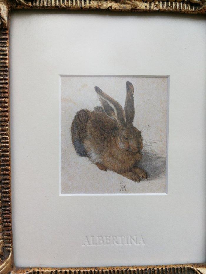 A Photolithograph Young Hare Framed in an Ornately Giltwood Frame - Image 5