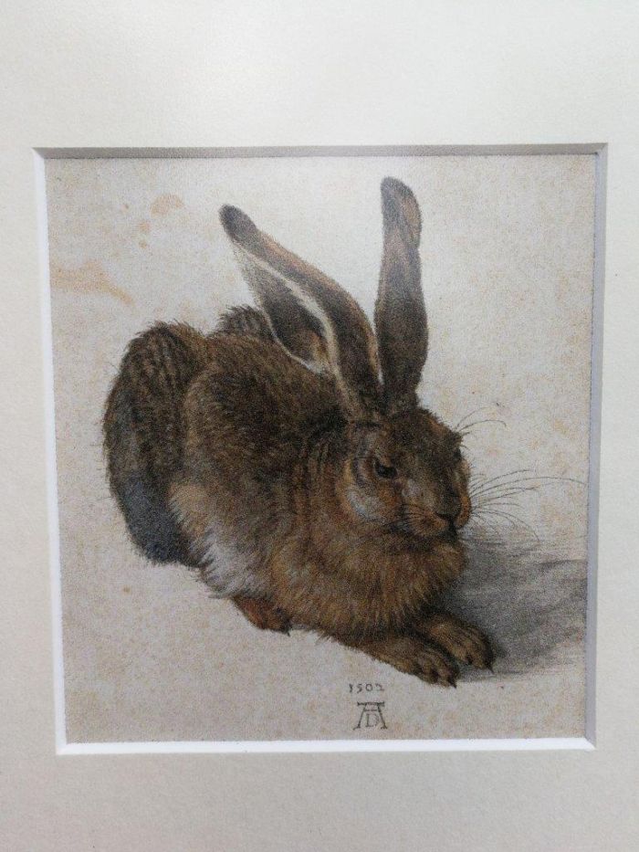 A Photolithograph Young Hare Framed in an Ornately Giltwood Frame - Image 6