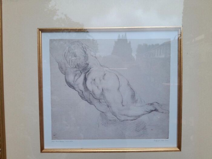 A 20th Century Study Of Torso Photolithograph After Peter Paul Rubens In A Gilded Frame - Image 5